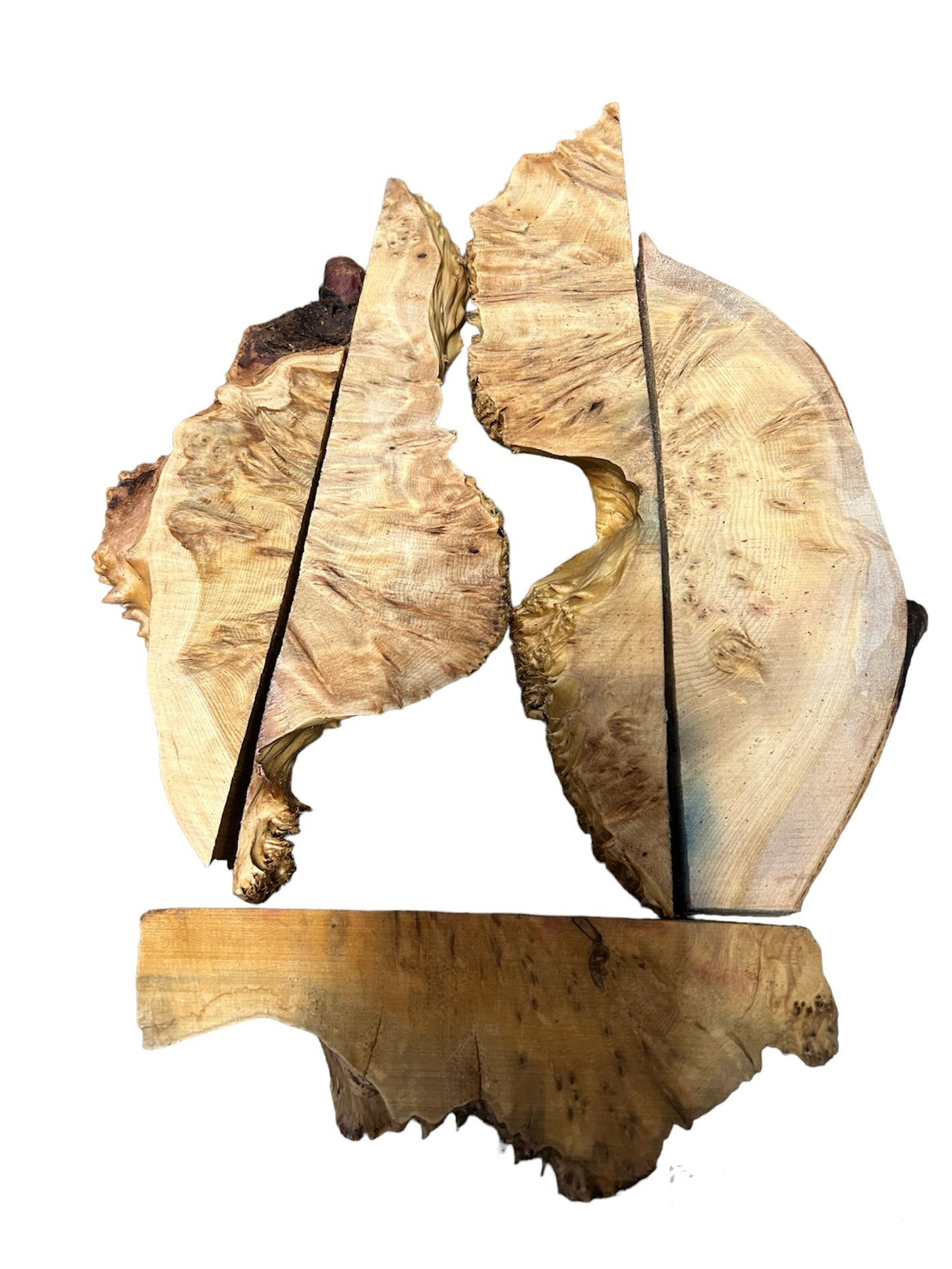 Stabilized yellow cedar Burl casting pieces (sold by the LB)