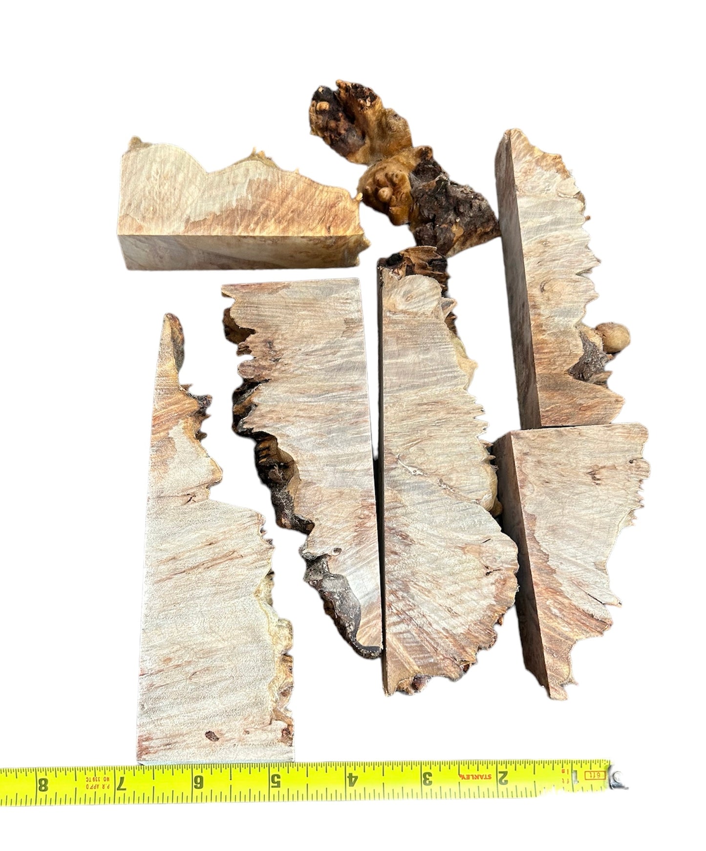 Stabalized maple burl casting lot A