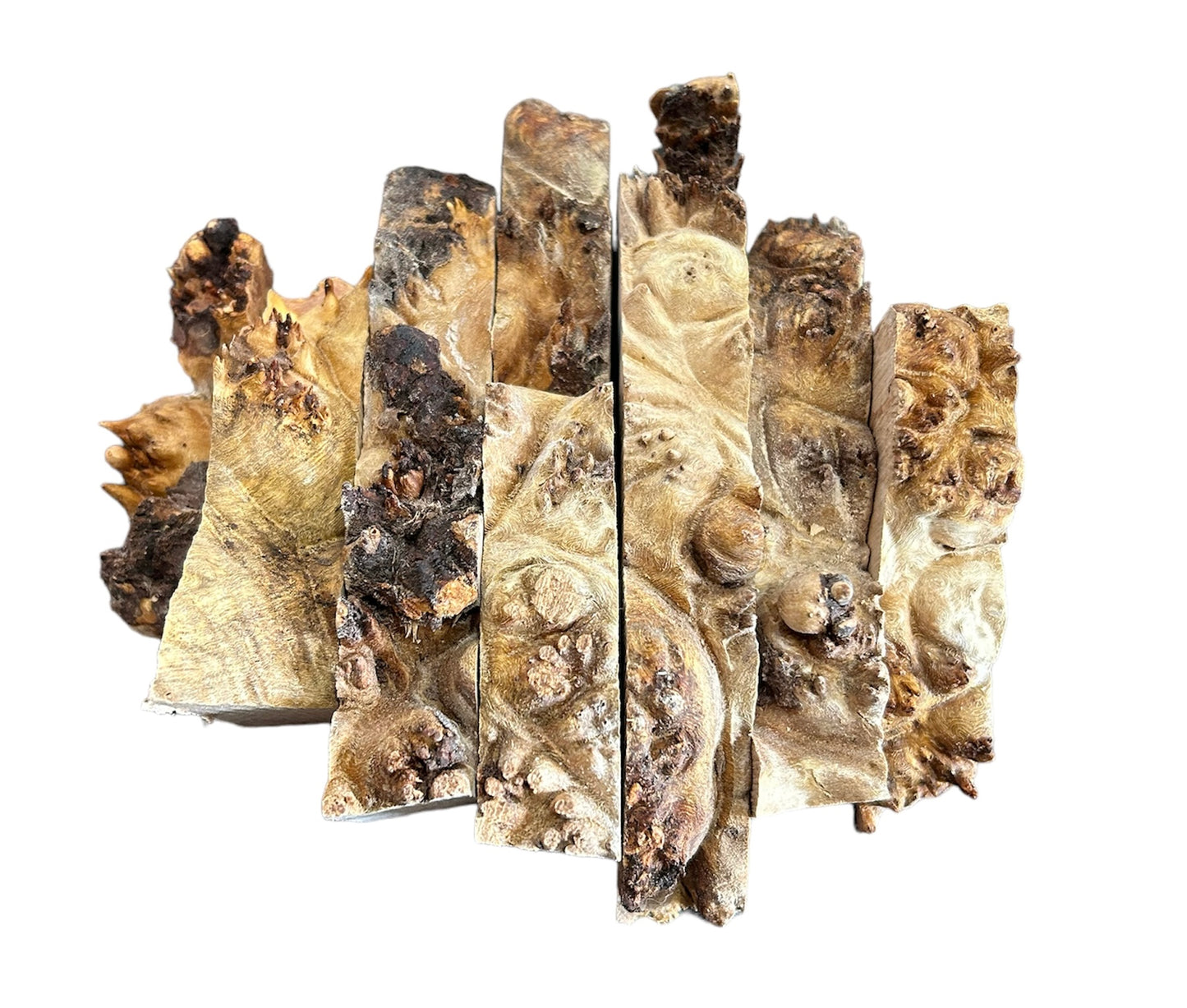 Stabalized maple burl casting lot A