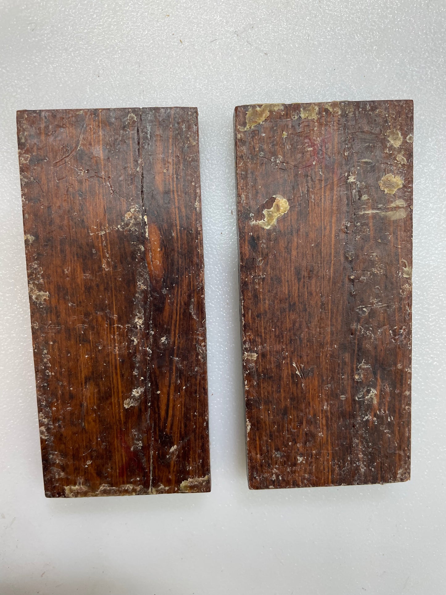 Snake wood scales A