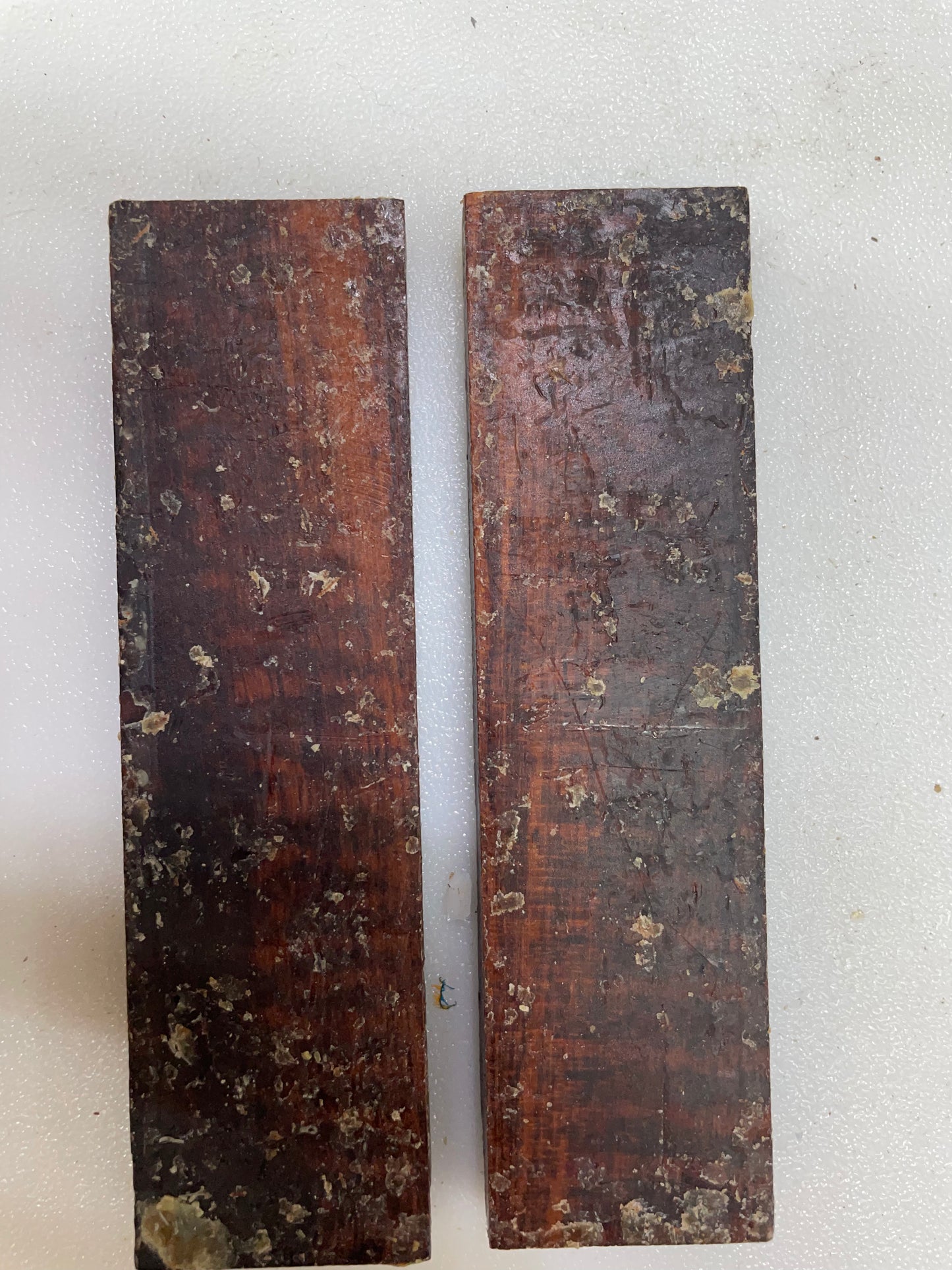 Snake wood scales C