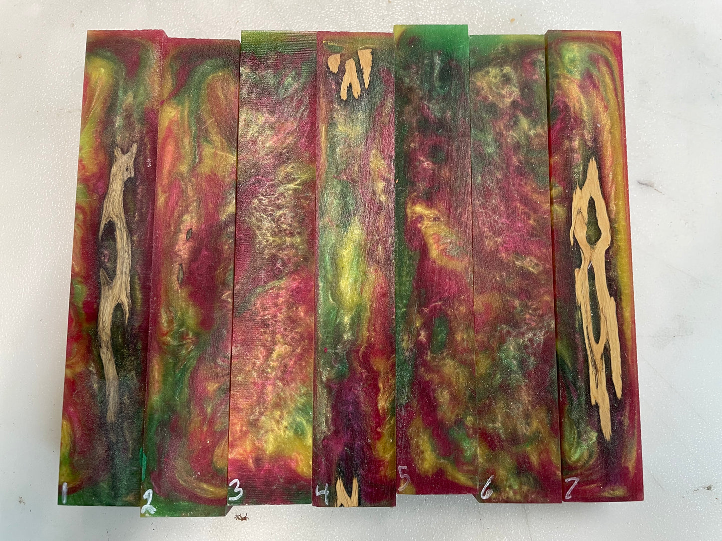 Rainbow cholla cactus