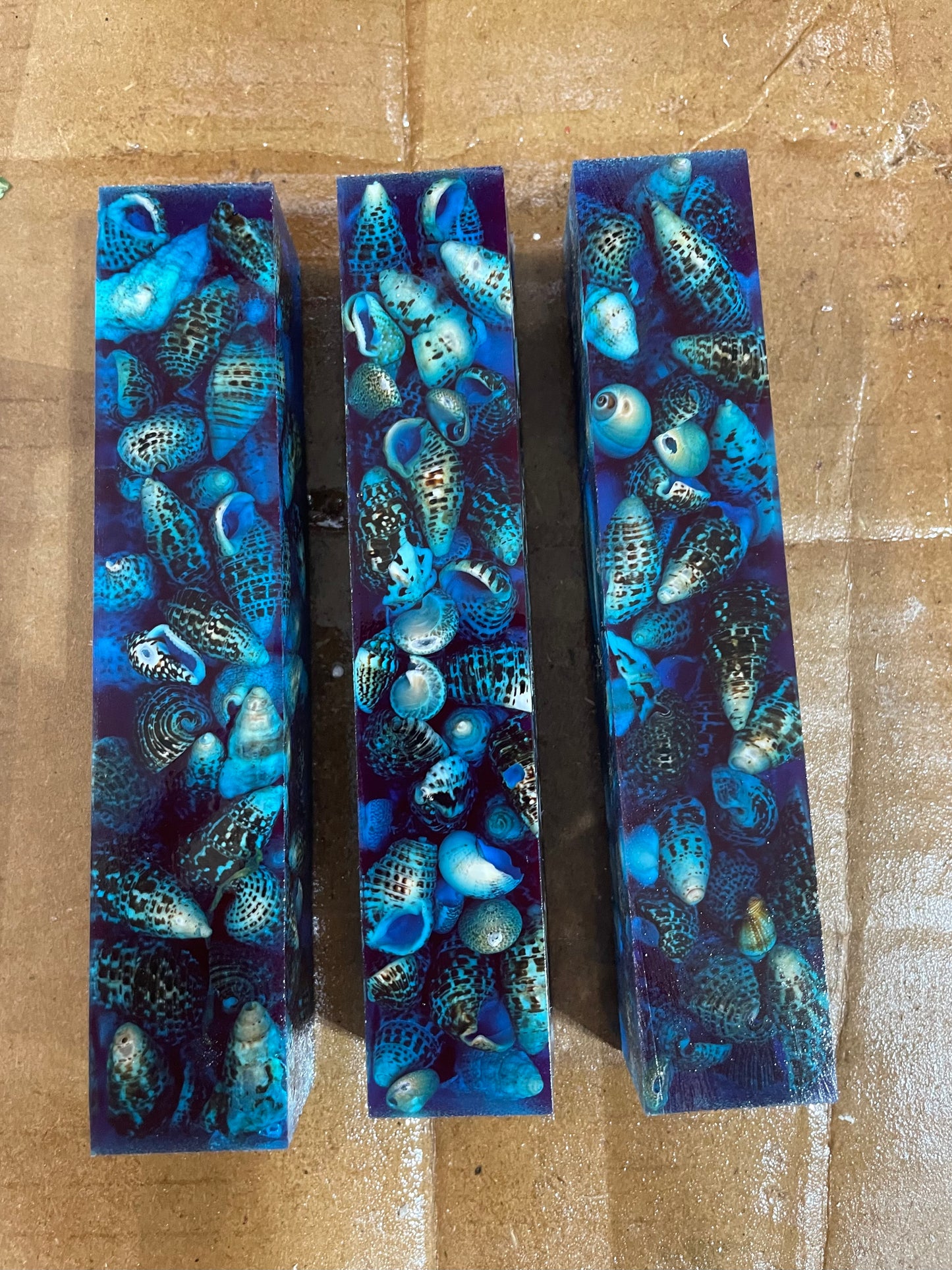 Blue sea shell