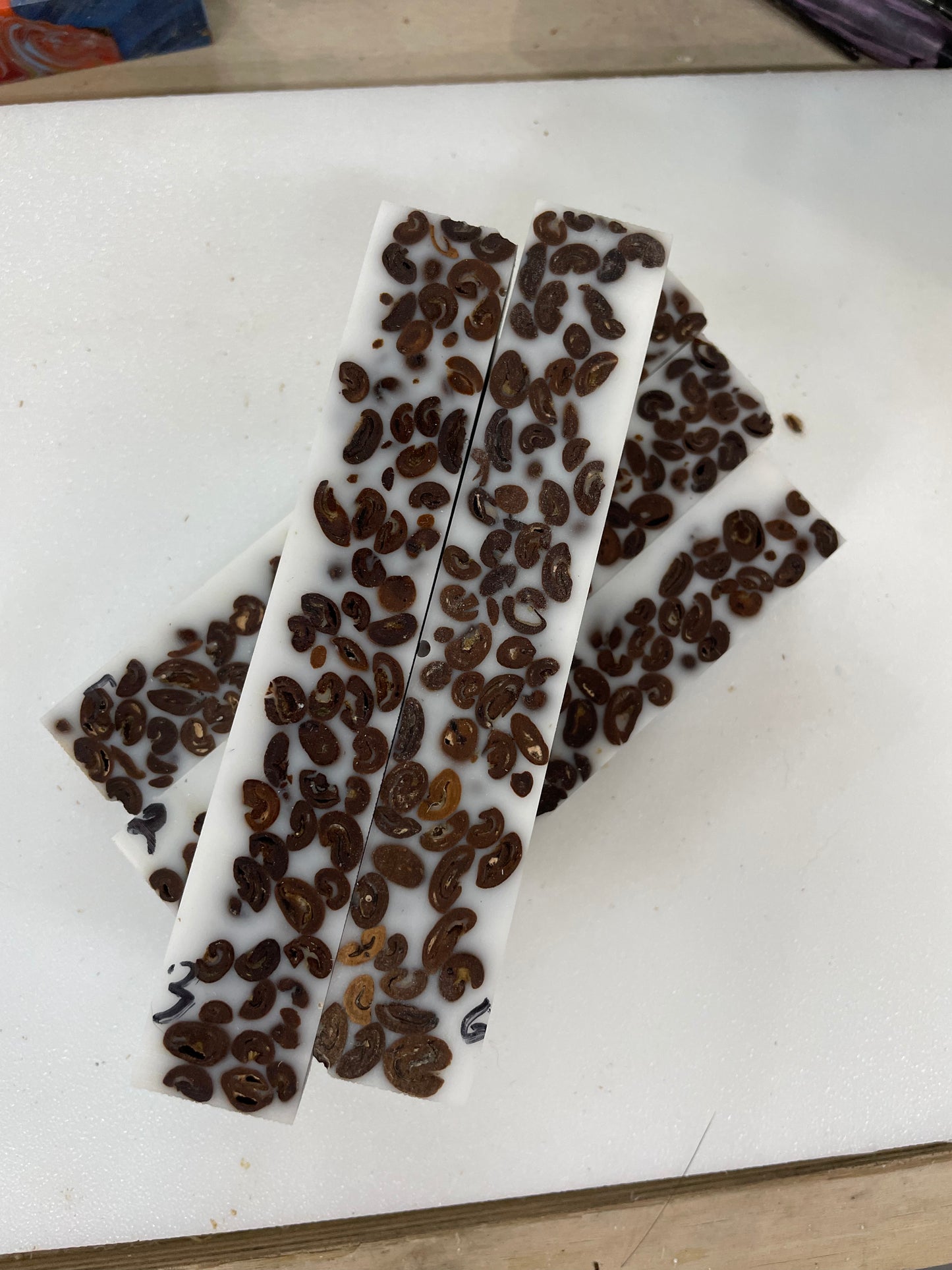 Alternate Route Coffee Bean Blank