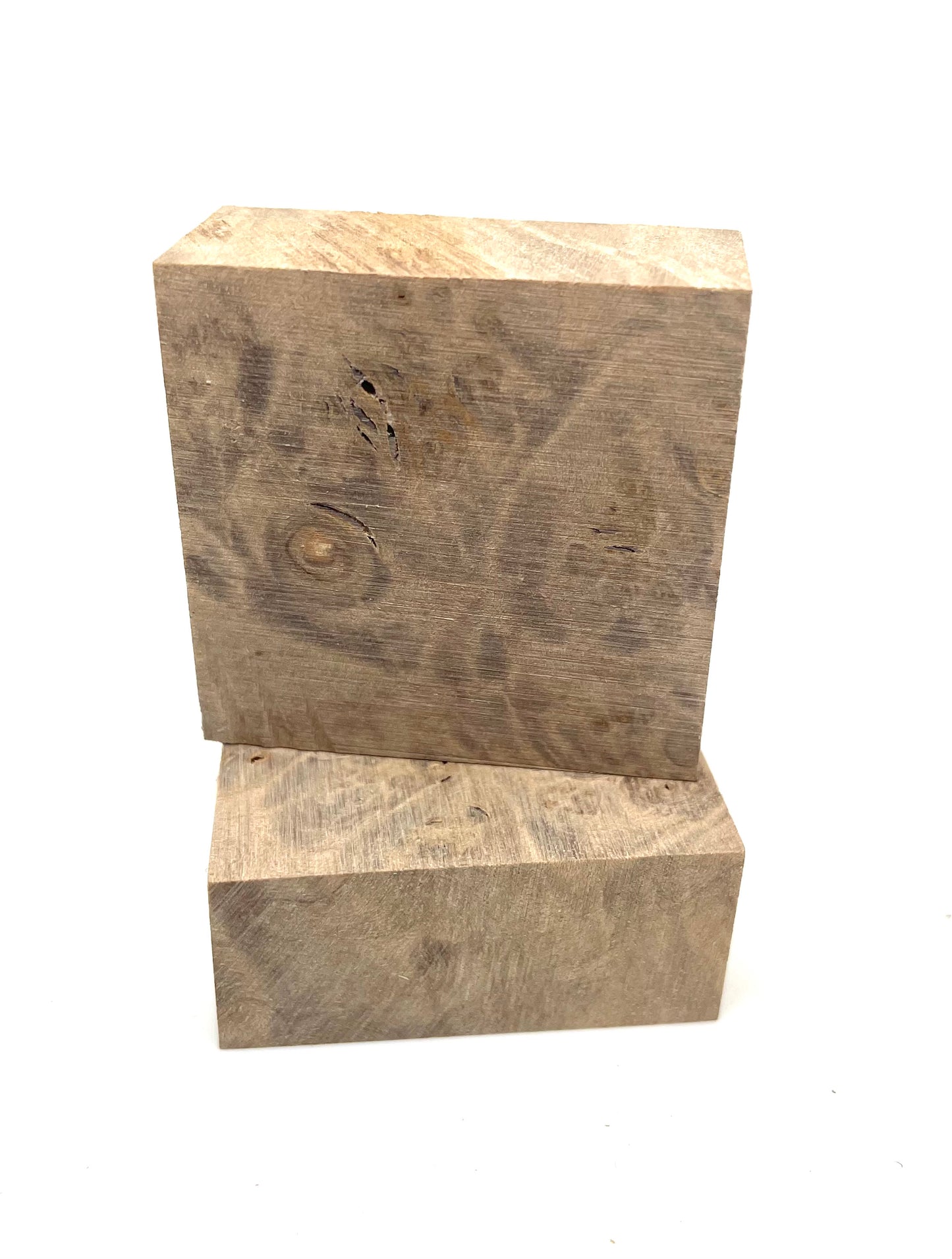 Maple burl ring blank