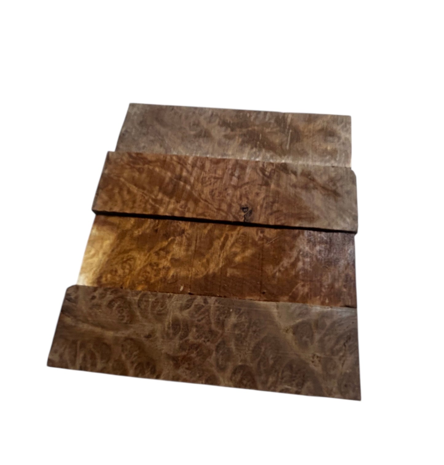 Brown mallee burl shorts 3”